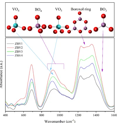 Figure 4: 400-1600 cm -1  region FTIR spectra and localizations of structural units belonging to ZBV  samples 