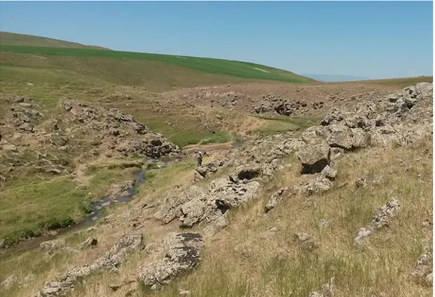 Şekil 3. Türün tip lokalitesinden genel bir görünüş (Haziran-2014), Foto: B. AKMAN 