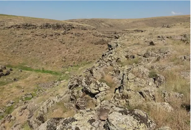 Şekil 6. Duracak köyünde türün dağılış gösterdiği alandan genel bir görünüş (Temmuz-2014),  Foto: M