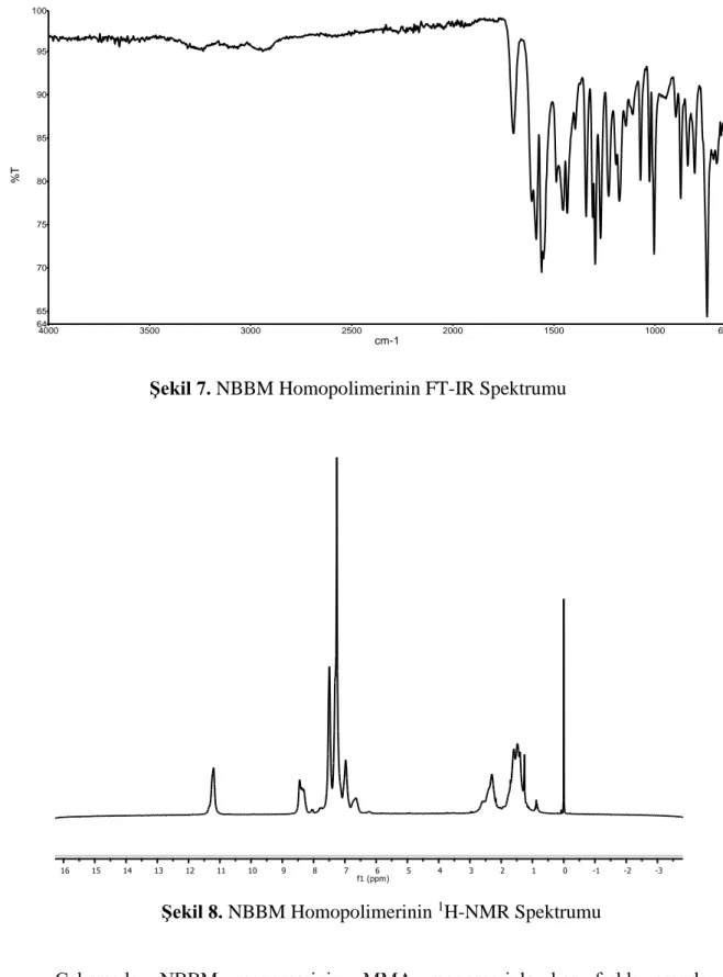 Şekil 8. NBBM Homopolimerinin  1 H-NMR Spektrumu 