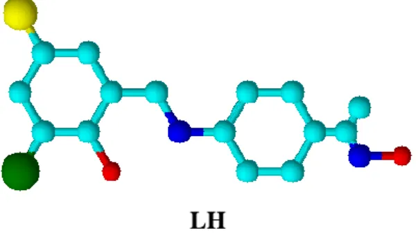 Figure 1. Conformation of the ligand. 