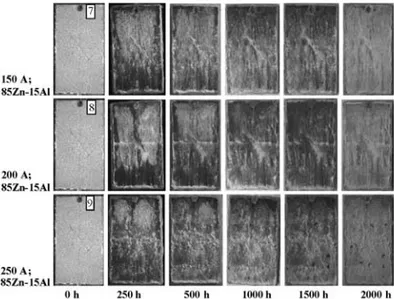 Figure 8: Images of the corrosion behaviors of Al-coated samples during the salt-spray corrosion test