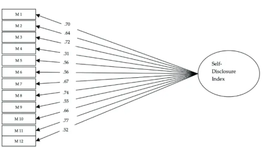 Fig. 1 Path Diagram and Factor Loads in relation to Self-Disclosure Index