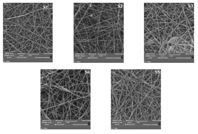 Figure 1: The SEM images of S1-S5 samples.