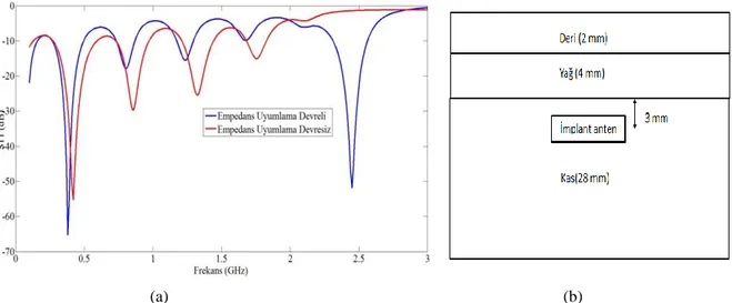 Şekil 2. (a) İmplant antende empedans uyumlama devresi kullanılarak ve kullanılmadan hesaplanan S11 değerleri  (b) antenin vücut fantom modelinde yerleştirilmesi 
