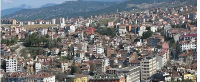 Şekil 2.1 Boyabat genel görünüm. (Boyabat Belediyesi, 2012) 