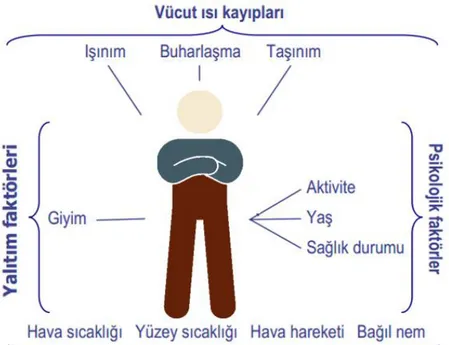 Şekil 3.5: Termal Konforu Etkileyen Faktörler. 