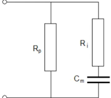 Şekil  1.  Kan  bioempedansının  eşdeğer  devre  modeli.  R p :  Plazma  direnci;  R i :  Eritrosit  iç  direnci;  C m :  Eritrosit  membran  kapasitansı