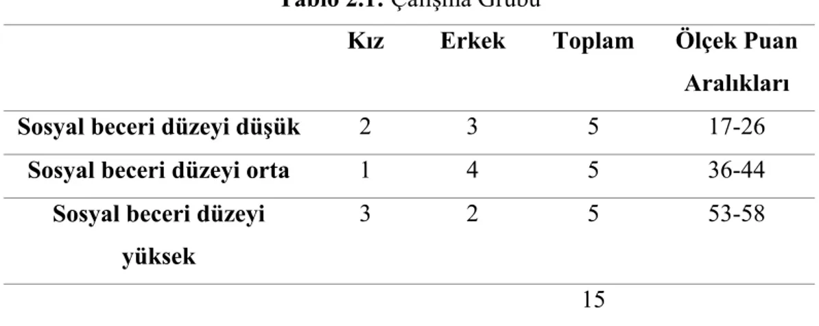 Tablo 2.1: Çalışma Grubu 