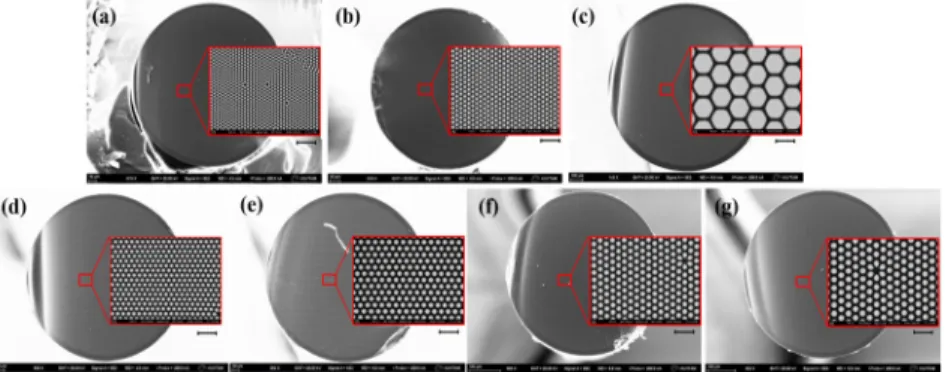 Fig. 2. SEM images of FB 1-7 with core sizes of (a) 1.1 μm, (b) 1.6 μm, (c) 10 μm, (d) 1.9 μm,  (e) 2.4 μm, (f) 2.5 μm, and (g) 2.9 μm, respectively