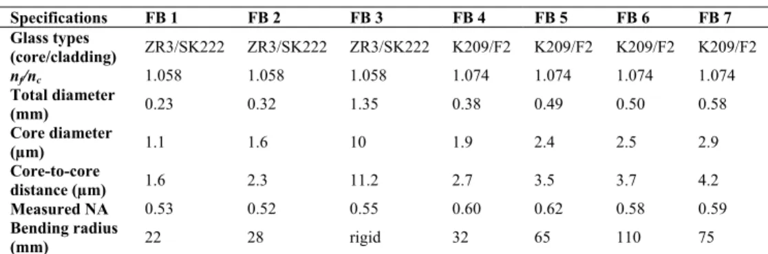 Table 2. Specifications of developed imaging FBs. 
