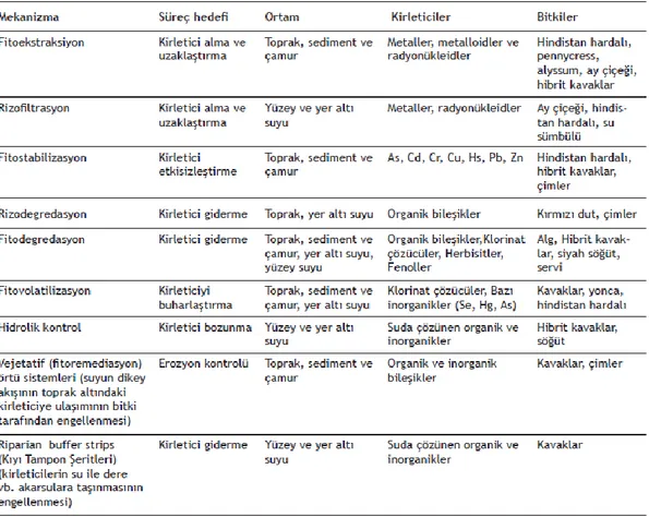 Tablo  4  :  Farklı  ortamlar  ve  kirleticiler  için  kullanılan  fitoremediasyon  teknikleri  tablosu  (Hamutoğlu,R v.d.,2012) 