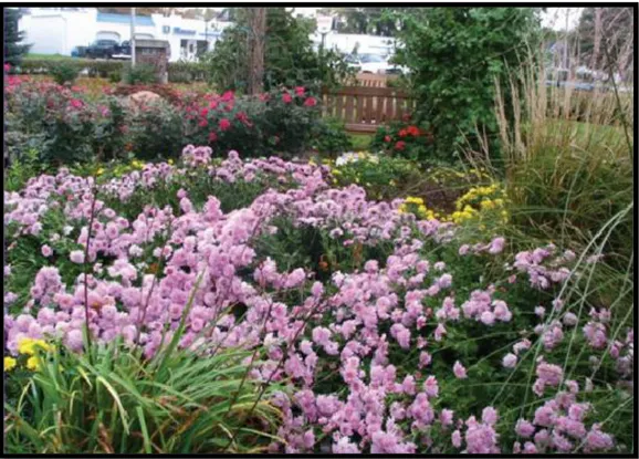 Şekil 3.9: Yeşil bitki örtüsü ve çiçekler doğanın önemli onarıcı unsurlarıdır, İncil  Bahçesi Guthrie Merkezi, IA USA (Erickson, 2012) 