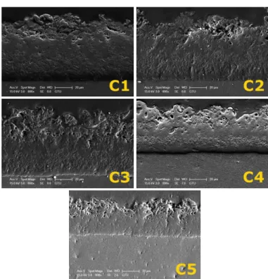 Figure 6. A SEM micrograph of the sample C2 (discharge  hole). 