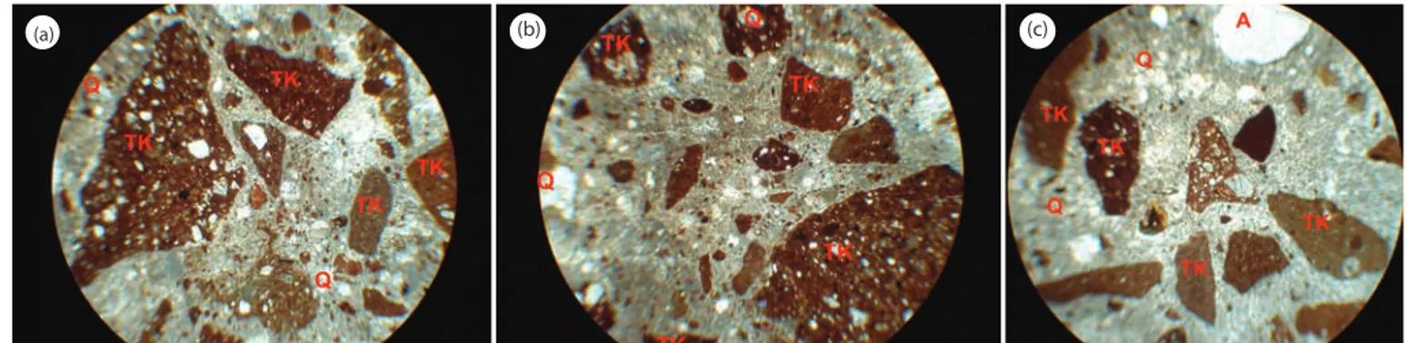 Şekil 4. D10 Aya İrini derz harcı polarize mikroskop resimleri, a) Genel doku görüntüsü, b-c) Tuğla kırığı ve matrisin ilişkisi