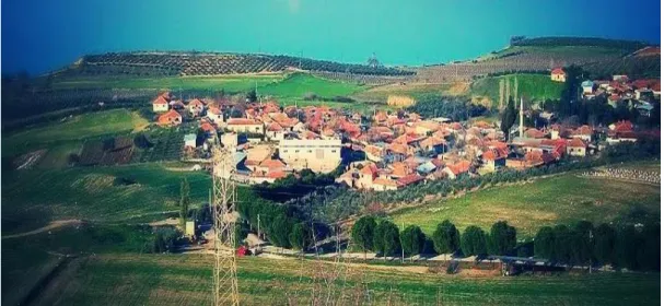 Şekil 3.5: Manisa Tekelioğlu Köyü ( URL 5) 