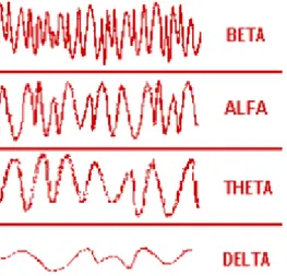 Şekil 1.2 :  Alfa Beta, Teta, Delta beyin dalgalarına ait frekanslar [5].  1.1.1.Teta Dalgaları: 