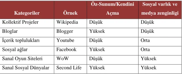 Tablo 1.1  Sosyal Ağların Kategorizasyonu 