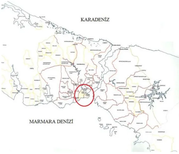 Şekil 2.1 : Tarihi Yarımada’nın İstanbul Metropolü içindeki konumu  (K:Planlama ve İmar Müdürlüğü, 2003) 