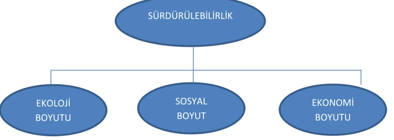 Şekil 2.1: Sürdürülebilirliğin boyutları.  2.1.1 Ekoloji boyutu 