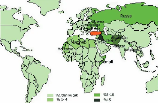 Şekil 1. 2000-2008 yılları arasında Türkiye’ye yönelen uluslar arası göçte başlıca  ülkeler 2