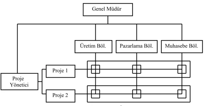 Şekil III. II: Matriks Örgüt Yapısı 