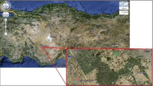 Fig. 1 Alibeyhuyugu, Cumra, Konya  