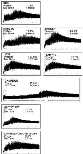 Fig. 1. Mixograms at optimum water absorption levels of ﬂours with different dough-mixing properties (protein contents are based on 14% moisture content).