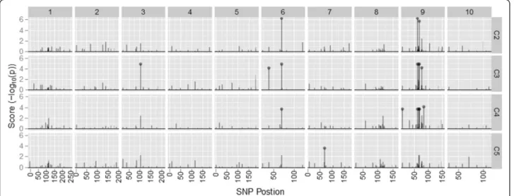 Figure 2 Ordered SNPs versus the association score for each SNP. Data is from the BS11-derived populations