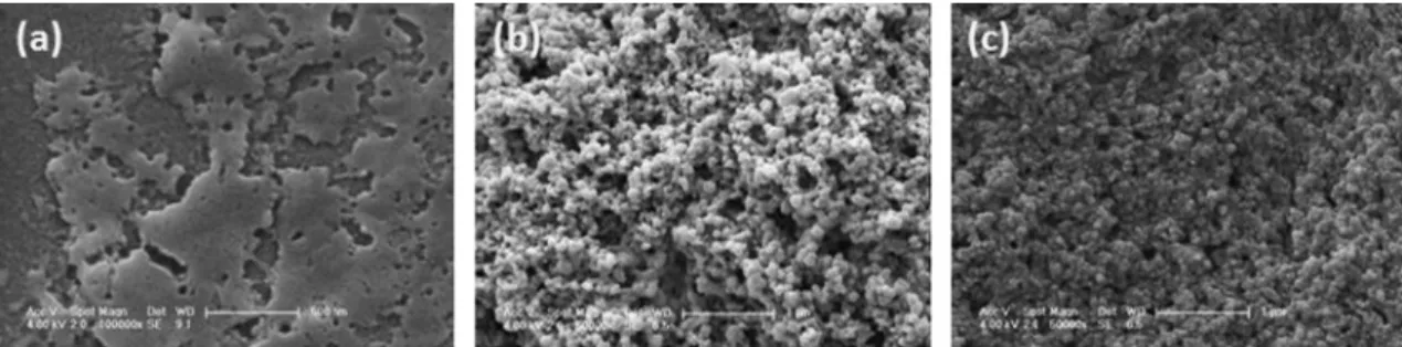 Fig. 3. SEM images of GFP ﬂuorescent protein on (a) an ordinary microscope slide, (b) CdO, and (c) TiO 2 nanoparticles.