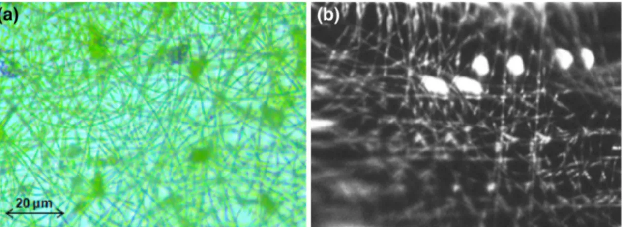 Fig. 4 Fluorescence spectra of perylene in PMMA-based nanofiber at different concentrations