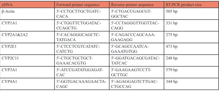 Table 1: Primer sequences and expected product sizes for different Cytochrome P450 and internal standard β-Actin  [22].