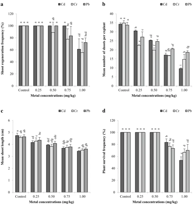 Fig. 3    In vitro growth characteristics for shoot regeneration frequency  (a), mean number of shoots per explant (b) and mean shoot length (c)  of shoot tip explants of B