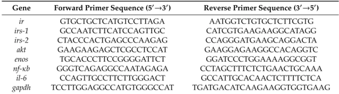 Table 1. Primer sequences of ir, irs-1, irs-2, akt, enos, nf-κb, il-6, and internal standard gapdh used for the mRNA expression determination of qRT-PCR.