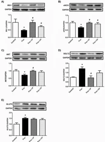 Figure 2. The protein expression levels of insulin receptor substrate (IRS-1) (a), protein kinase B (AKT) (b), endothelial nitric oxide synthase (eNOS) (c), sodium-glucose cotransporter-2 (SGLT2) (d), and glucose transporter type-5 (GLUT5) (e) in kidney ti