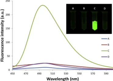 Fig. 3. E ﬀect of the concentration of ThT on the ﬂuorescence intensity for di ﬀerent aptamer sequences (200 nM).