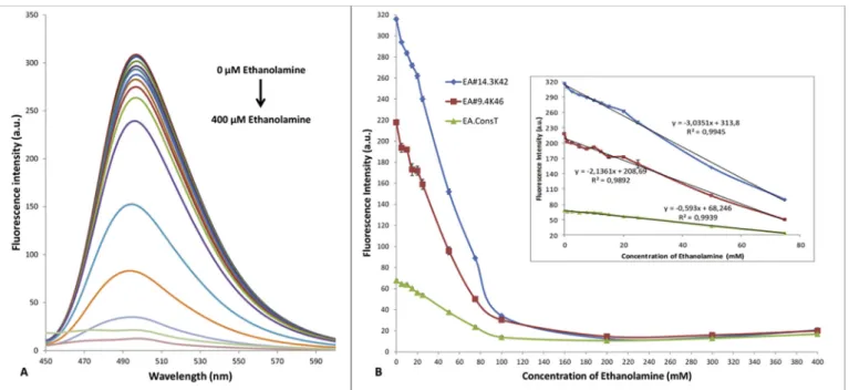 Fig. 4. (A) Fluorescence emission spectra of aptamer-ThT complex in the presence of increasing amounts of ethanolamine (0, 0.5, 1.0, 2.5, 5, 7.5, 10, 12.5, 15, 20, 25, 50, 75, 100, 200, 400 mM)