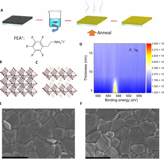 Fig. 1. Experimental strategy and elemental and morphological analysis of 3D/2D perovskite bilayer