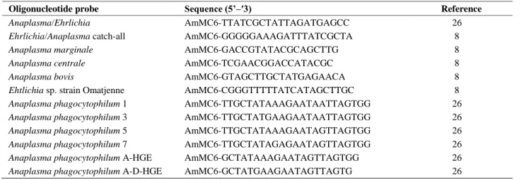 Table 1. Sequences of oligonucleotides used in RLB.  Tablo 1. RLB’de kullanılan oligonükleotidlerin dizilimleri