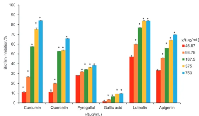 Fig. 3. The percentage of biofilm inhibition in Chromobacterium viol- viol-aceum ATCC 12472 by the dietary phytochemicals at the subminimal  inhibitory concentrations (46.87–750 μg/mL)