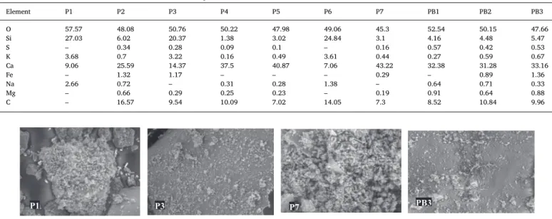 Fig. 4. SEM images of some prepared concrete samples (P1, P3, P7 and PB3).