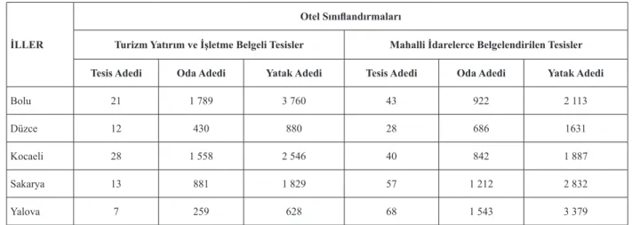 Tablo 2. Doğu Marmara Bölgesindeki Konaklama Arz Kapasitesi