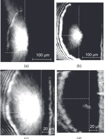 FIG. 11. Sample shadowgraphy images for different scale lengths (a) 11.1 μm, (b) 9 μm, (c) 7.2 μm, (d) 6 μm