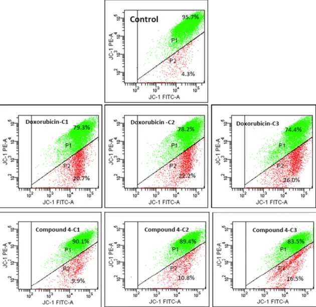 Fig. 3. Effects of 3,3′-di-O-methylellagic acid (4) and doxorubicin on the activation caspases 3/7 and 9 in MCF-7 cells