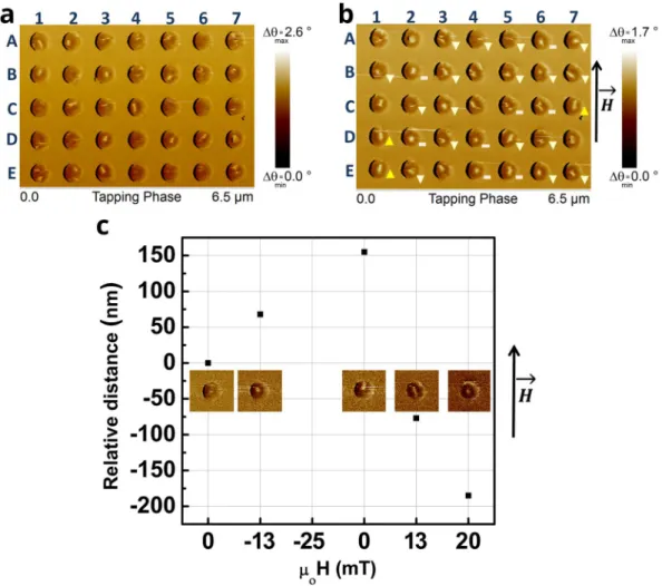 Figure 5b shows the same disks imaged under an in-plane magnetic field of 10 mT along the direction indi- indi-cated in the figure