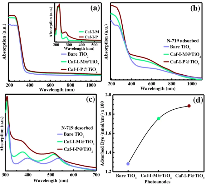 Fig.  3.(a)-  Absorption  spectra  of  bare  and  Caf1@TiO 2   films.  The  inset  shows  the  absorption  spectra  of  Caf1molecules  in  aqueous  state