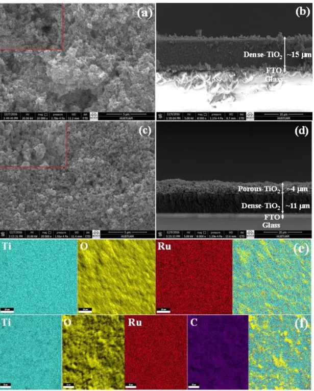 Fig. 4. SEM top view (left) and cross-section (right) images of bare  (a,b) and CafI-P functionalized (c,d) TiO 2 photoanodes