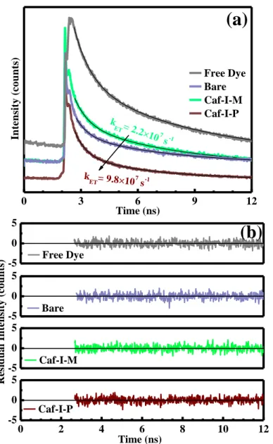 Fig. 5. (a)- Fitting and calculation of decay parameters of N–719 dye molecules on microscope slide and TiO 2 nanoparticles