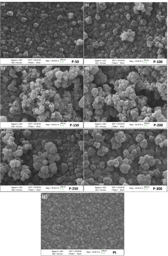 Figure 6.  SEM micrographs of (a–f) electropolymerized PEDOT CEs at various deposition charges and (g) Pt CE.