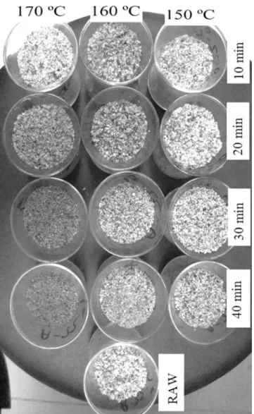 FIGURE 1 Examples of roasted and ground Akbadem.
